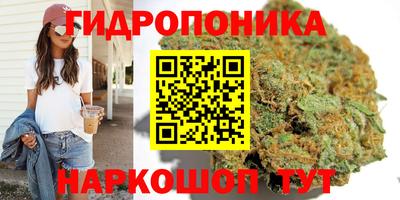 ПСИЛОЦИБИНОВЫЕ ГРИБЫ Бузулук