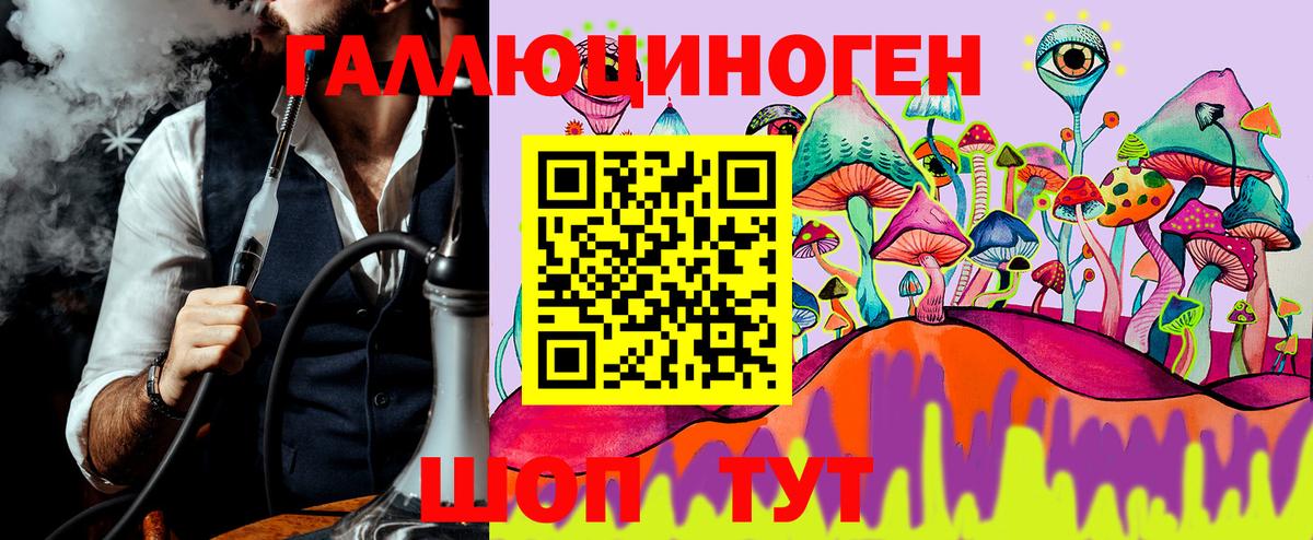 Шебекино  Галлюциногенные грибы Psilocybe  Вход с VPN 